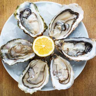 Oysters